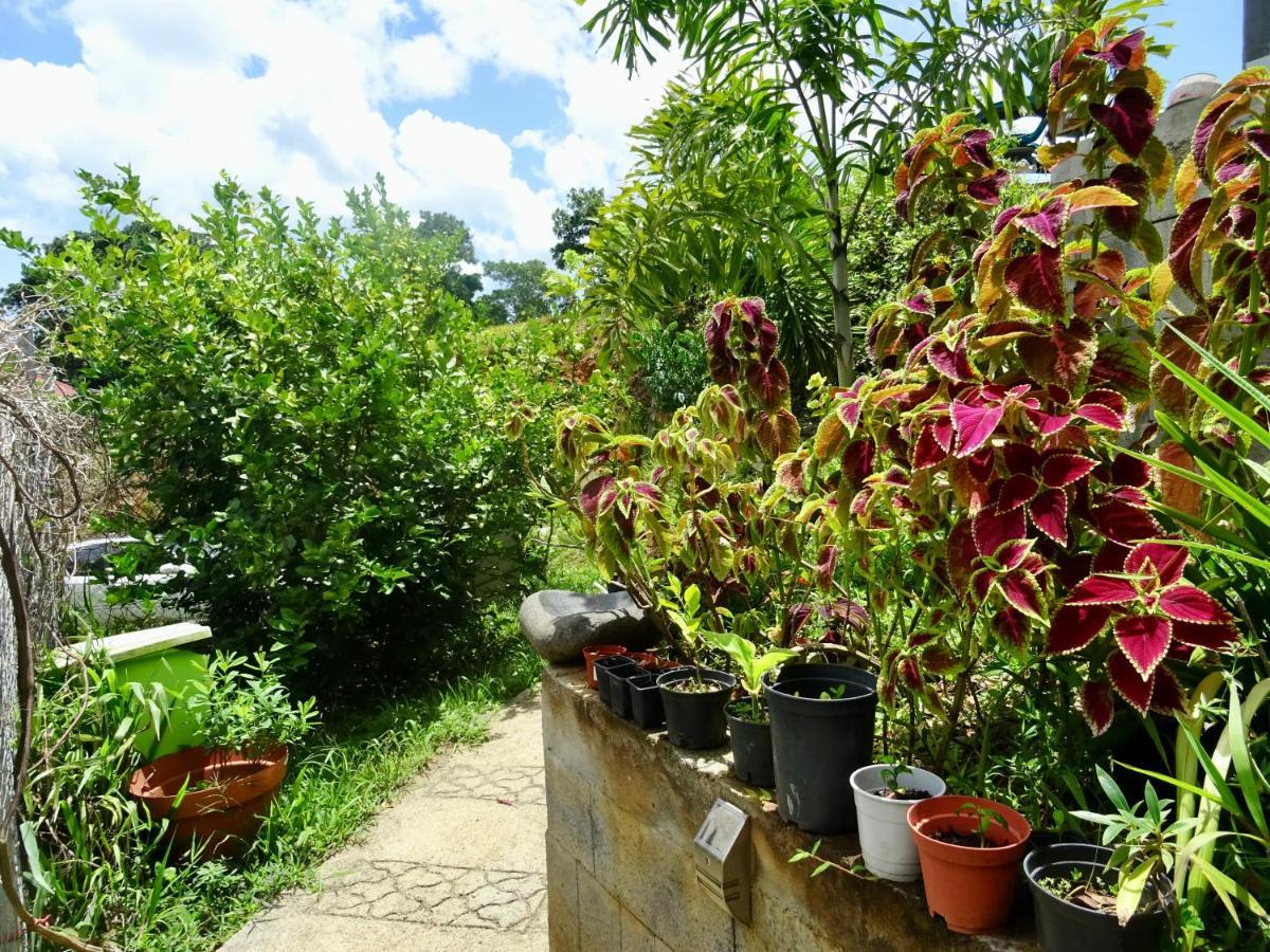 Bungalow Dourou Десе Екстериор снимка